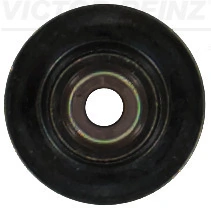 Seal Ring, valve stem